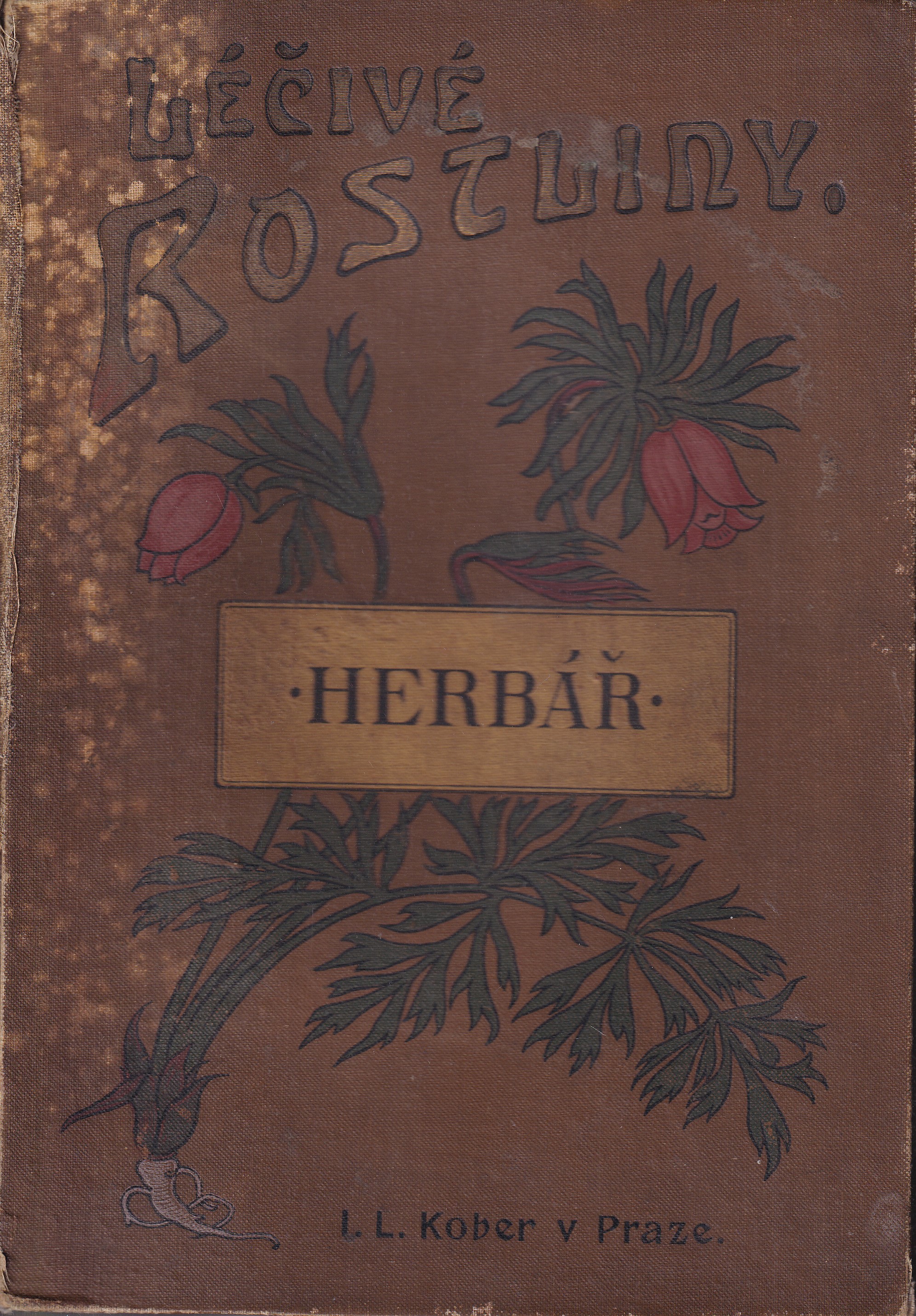 Léčivé rostliny  herbář