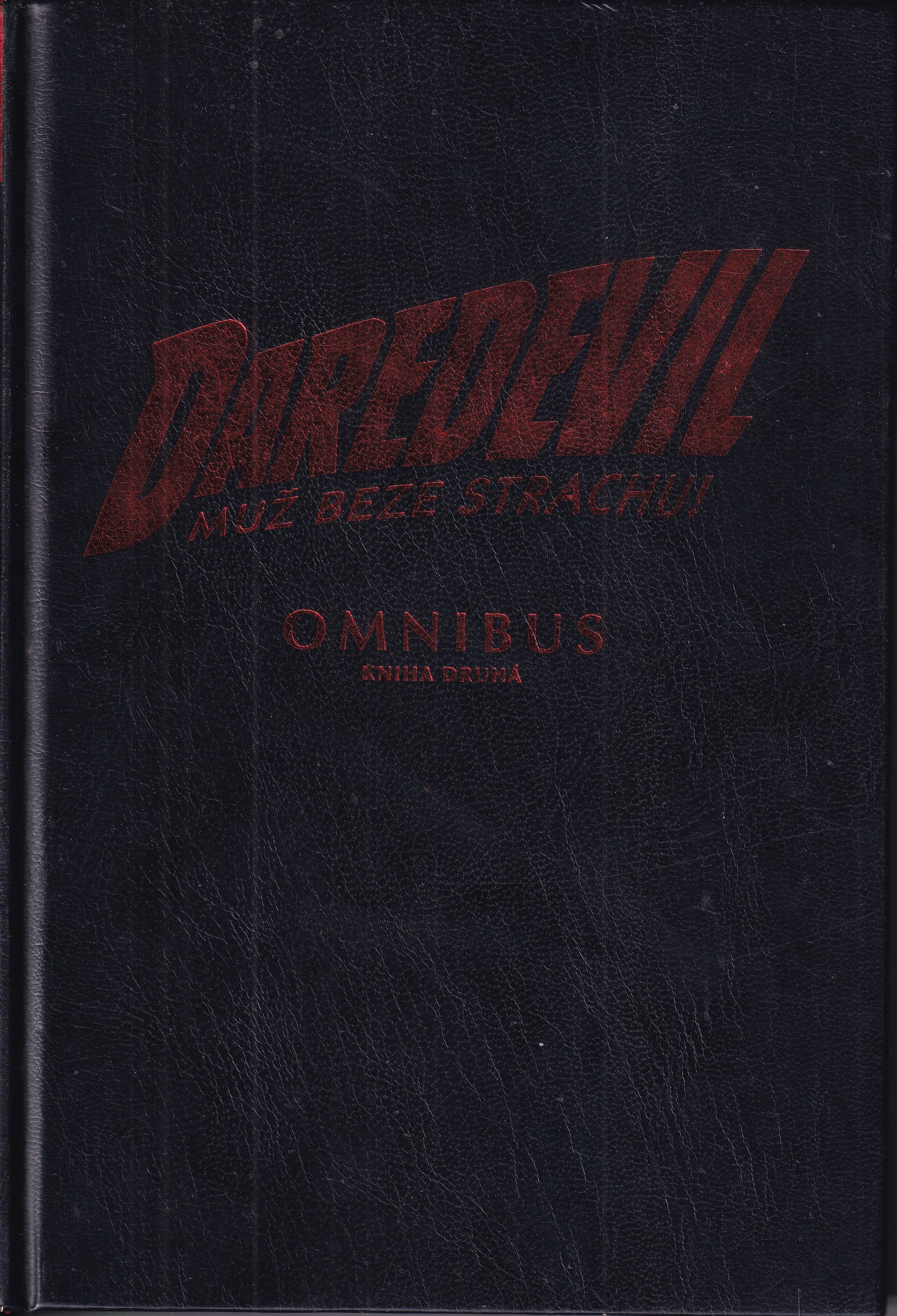 Daredevil : muž beze strachu! (omnibus, kniha druhá)