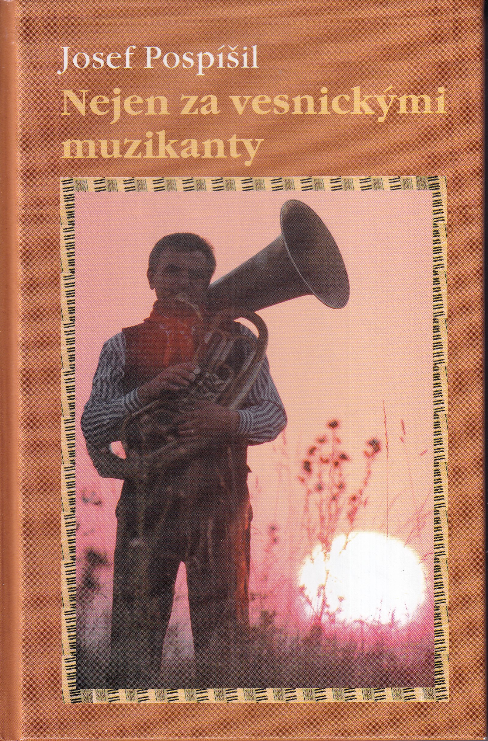 Nejen za vesnickými muzikanty