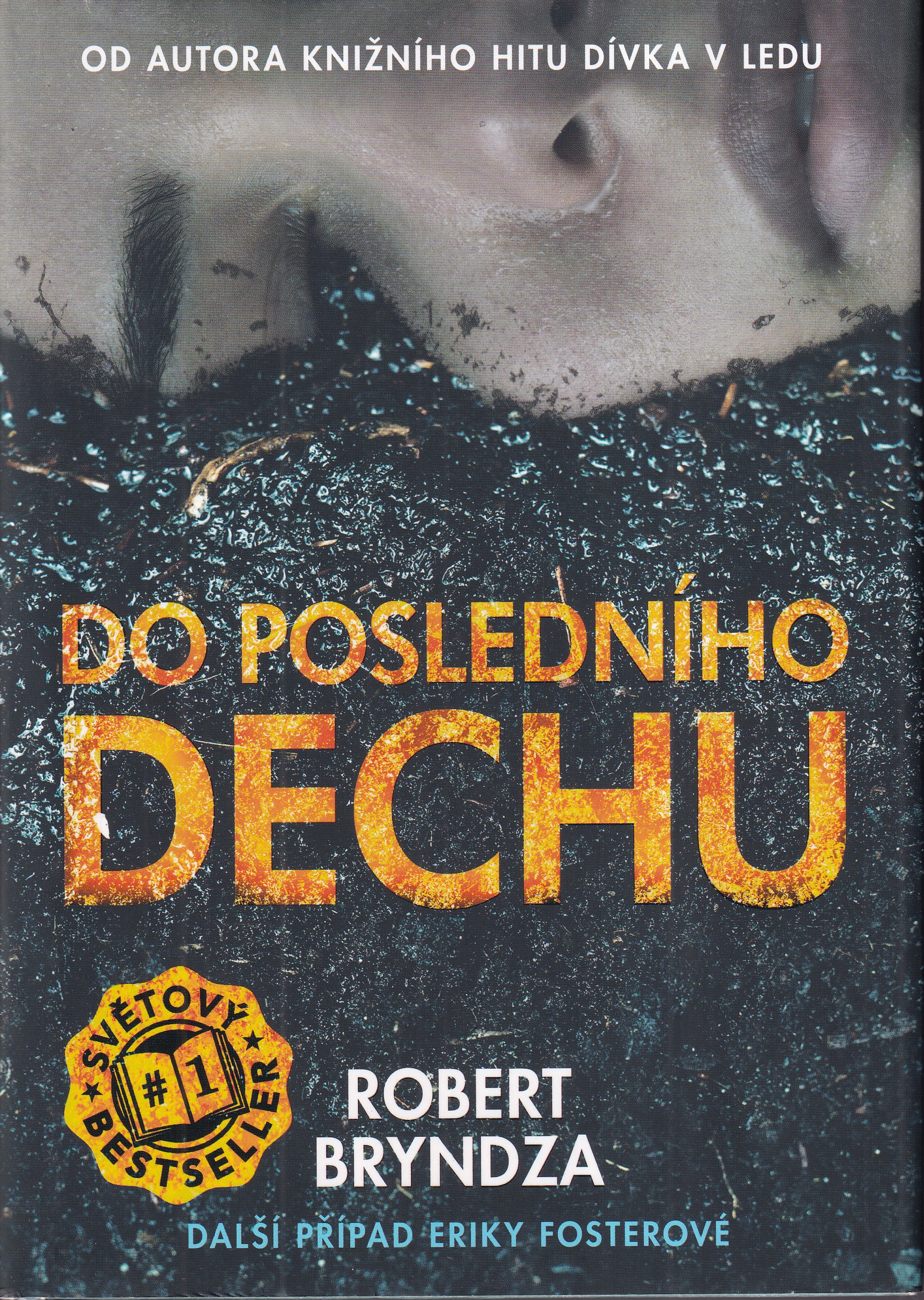 Do posledního dechu, Robert Bryndza