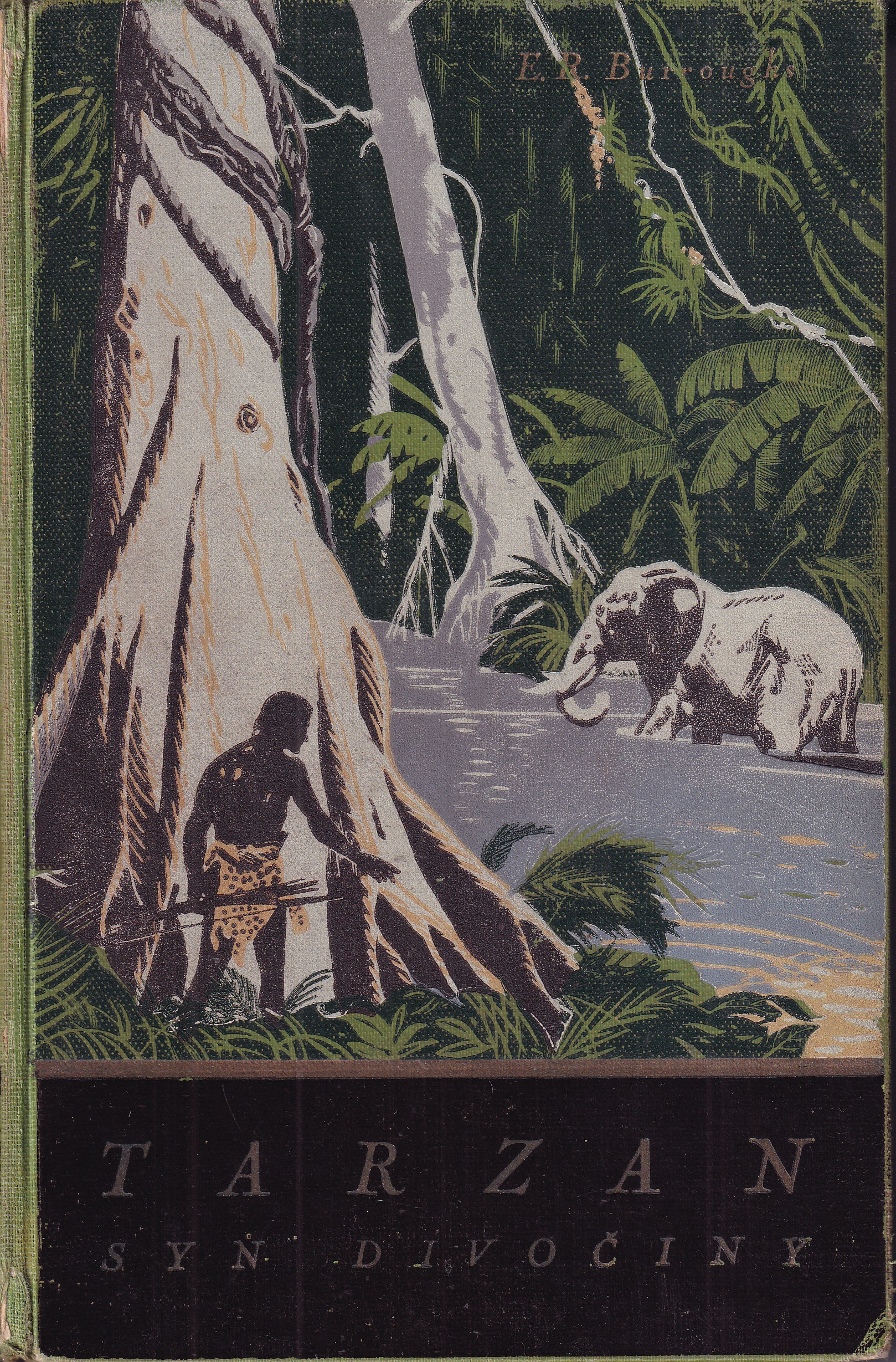 Tarzan : Syn divočiny (díl první)