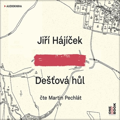 CD Dešťová hůl (Čte Martin Pechlát)