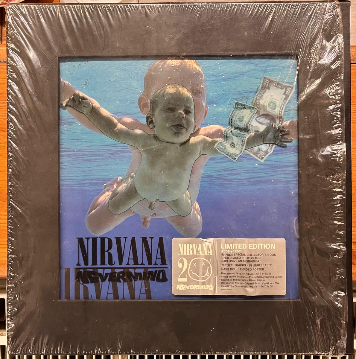 Nirvana : Nevermind (kniha, CD)