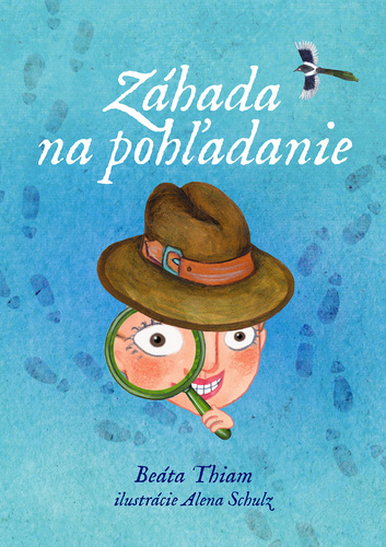 Záhada na pohľadanie