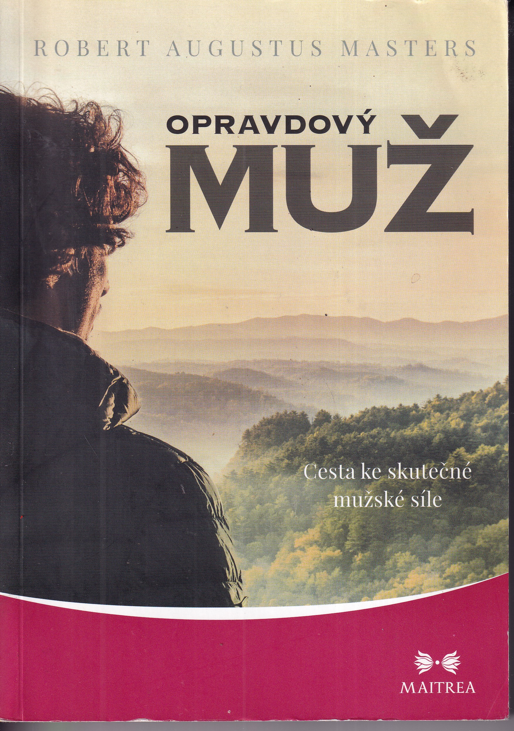 Opravdový muž : cesta ke skutečné mužské síle