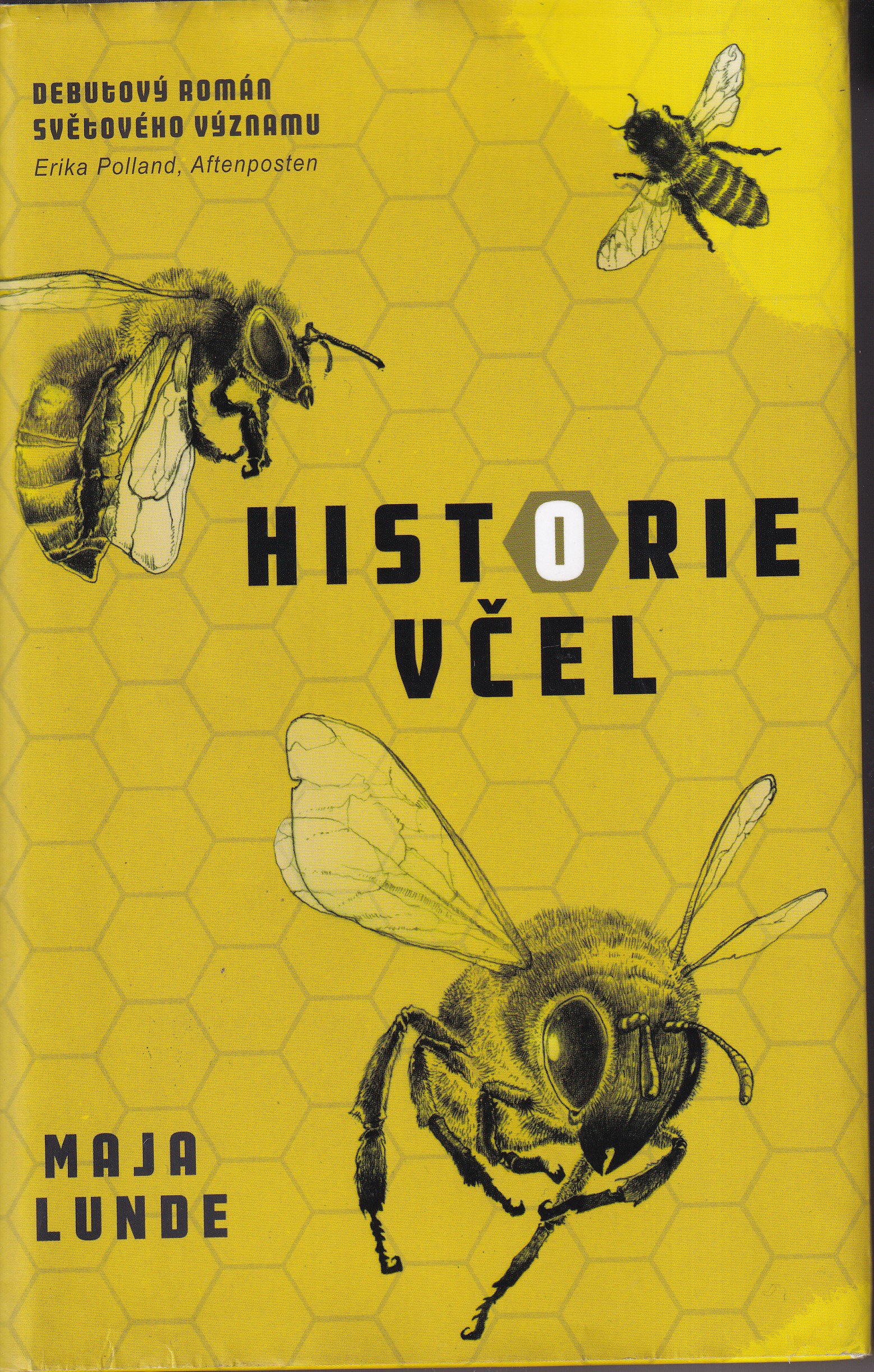 Historie včel