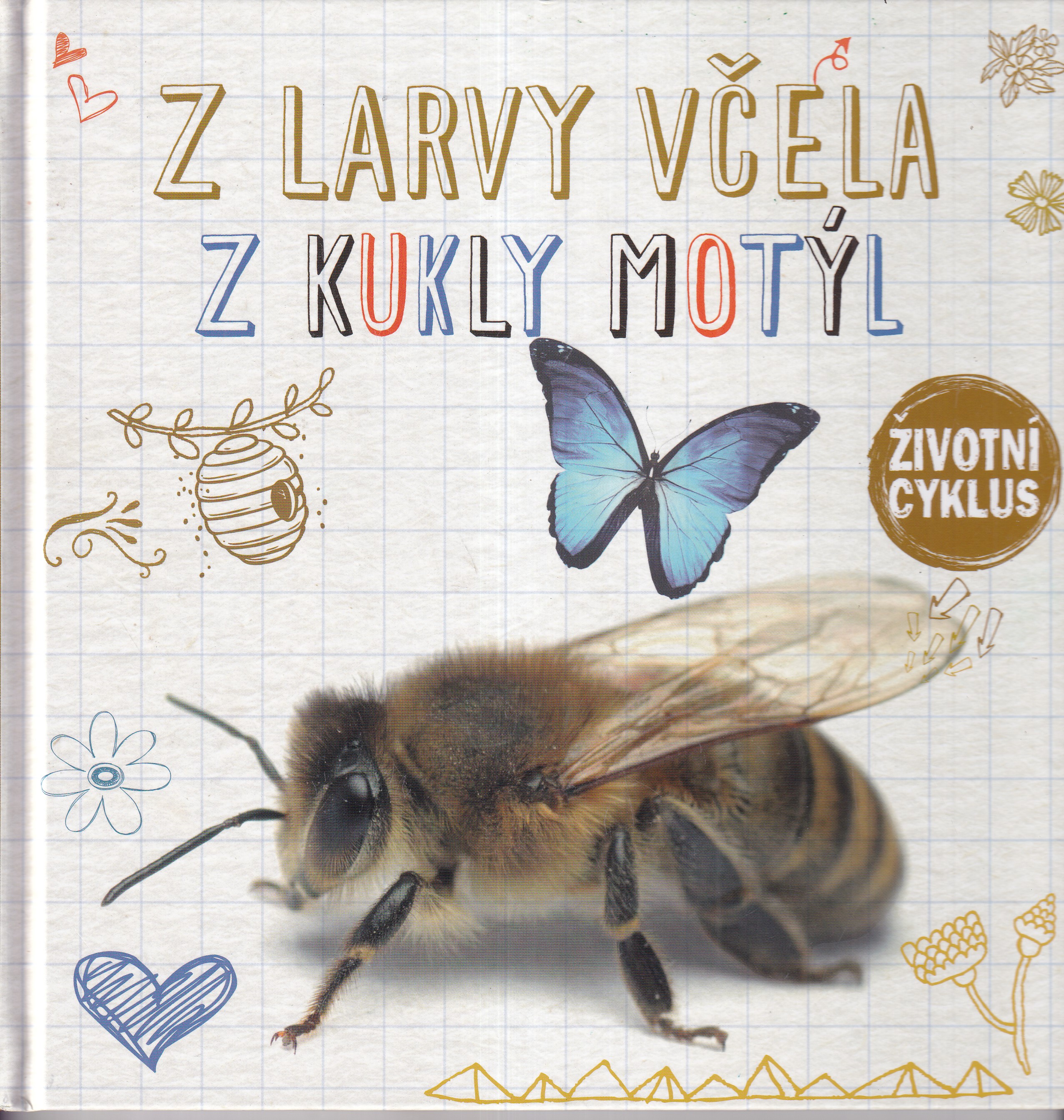 Z larvy včela ; Z kukly motýl